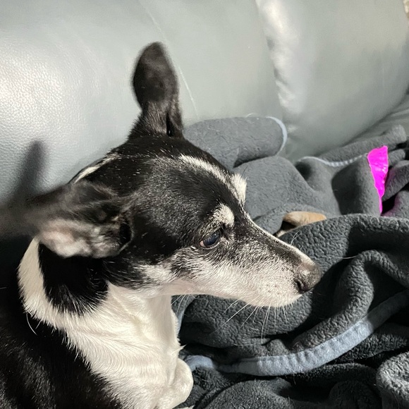 ALL PRICES NEGOTIABLE - Picture 10 of 13